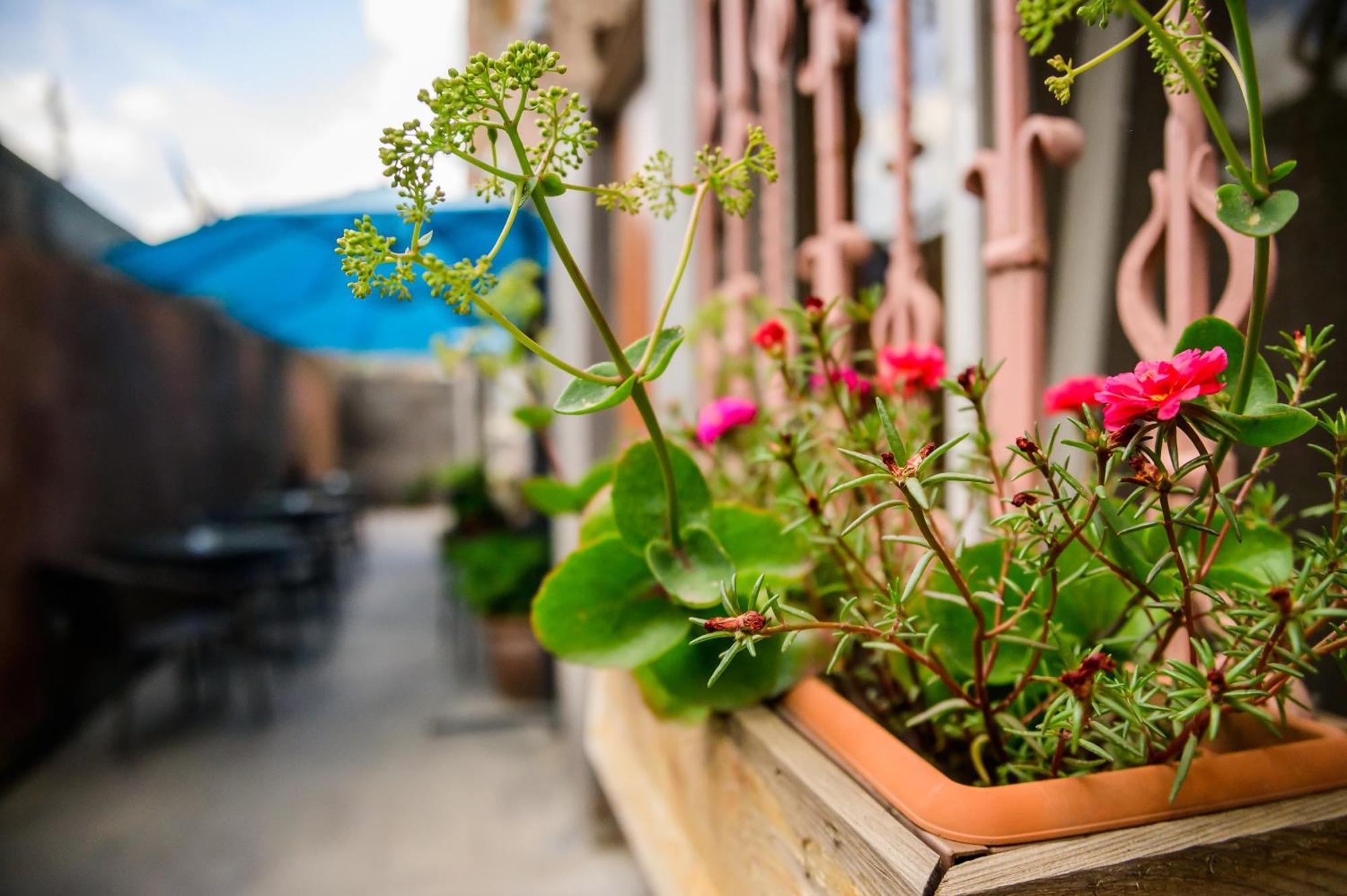 Mia Casa Hotel Erivan Dış mekan fotoğraf